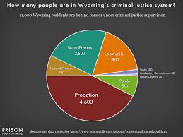 Wyoming Correctional Control Pie Chart 2018 Prison Policy