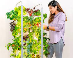 best indoor garden system for 2022