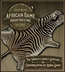african zebra skins zebra skin rugs