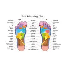 Foot Reflexology Chart Description