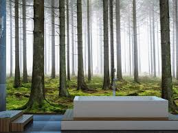 Moody Forest Wallpaper About Murals