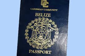 The document also functions as a b1/b2 visa when presented with a valid passport, for entry to any part of the united state. Digital Border Crossing Card Caribbean Press Release