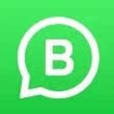 stream whatsapp business app