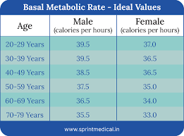 basal metabolic rate bmr how to find