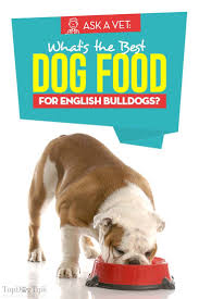 It is important to feed bulldog's the best and right food but now, dog owners found this breed as gentle, peaceful and kind contrary to what it was known before. Best Dog Food For English Bulldogs 6 Vet Recommended Brands Best Dog Food English Bulldog Care English Bulldog