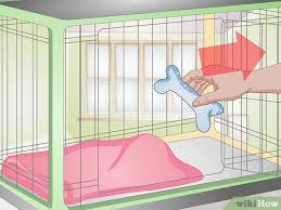 3 ways to clean a dog crate wikihow