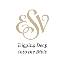 The titus esv is unique as it incorporates many design features that increase performance, decrease service and installation costs, and offer increased value, over and above this basic function. Esv Digging Deep Into The Bible Podcast Podtail