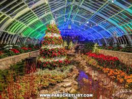 phipps conservatory s holiday flower