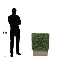 Artificial Boxwood Hedges Artificial