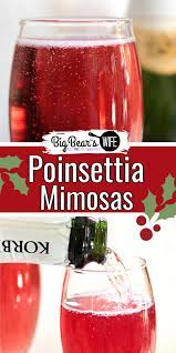 poinsettia mimosas big bear s wife