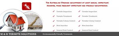 Our team of experts will arrive as soon as possible and will begin by inspecting. Diy Termite Control Vs Hiring A Termite Pest Control Company