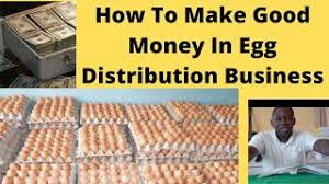 My Experience In Egg Distribution Investment. - Business (63) - Nigeria