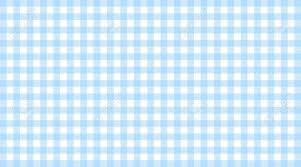 Traditional Checkered Tablecloth Pattern Light Blue White Stock Photo Picture And Royalty Free Image Image 56866296