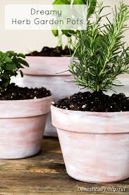 dreamy herb garden pots