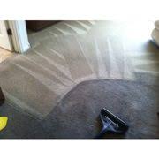 orange carpet cleaning 16 photos 14