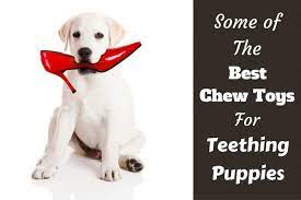 best chew toys for puppies while teething