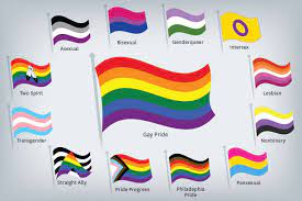 The lgbtq+ acronym is a term used to describe people who are transgender and/or attracted to the same gender. Pride Flag Guide Lgbtq Community S Varied Flags And Who They Represent