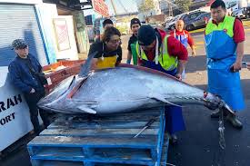 My husband came up with this recipe while we are on 'stay at home' orders due to the coronavirus pandemic. Fisherman Catch Massive 271 Kg Blue Fin Tuna Fish Off The Coast Of Australia