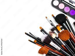 collected professional makeup brushes