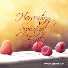 Image result for harvesting the fruits of the spirit