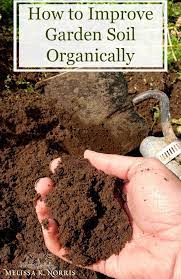 how to improve soil for gardening