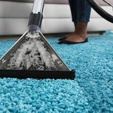 stream best professional carpet