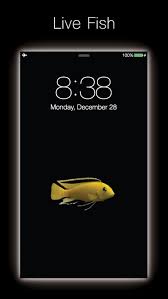 live fish live wallpapers for fish