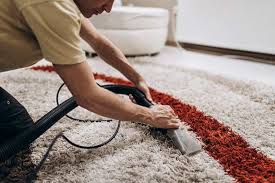 professional carpet cleaning wellington