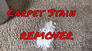 diy carpet cleaning solution for pet