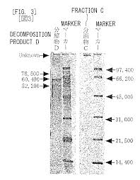 Us20080009606a1 Polysaccharides And Protein Conjugate And