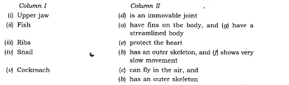 Ncert Solutions For Class 6 Science Chapter 8 Body Movements