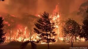 هزاران نفر در استرالیا از آتش می‌گریزند | جهان | DW | 30.12.2019