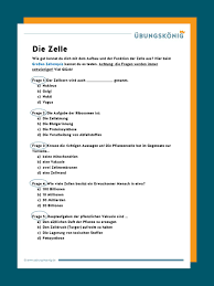 Direkt zum inhalt springen (alt 1) direkt zur sekundärnavigation springen (alt 3) direkt zur hauptnavigation springen (alt 2). Aufbau Und Funktion Der Zellen