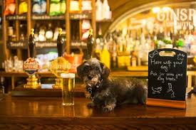 Dog Friendly Pubs In Kent All The Places Your Dog Will Be