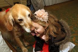 children with autism benefit from a dog