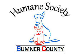 Need to know what time pet supermarket in hendersonville opens or closes, or whether it's open 24 hours a day? Pets For Adoption At Humane Society Of Sumner County In Hendersonville Tn Petfinder