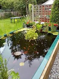 New Fish Pond Plunge Pool Garden