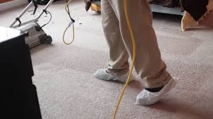 carpet cleaning evanston specialists