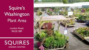 squire s garden centres