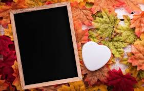 wallpaper autumn leaves love