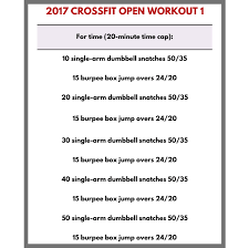 the top 24 hotel crossfit workouts