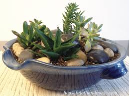 Easy Indoor Succulent Rock Garden