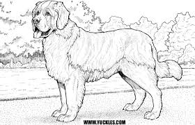 We are happy to create additional animal coloring pictures on request. Golden Retriever Coloring Pages Png Free Golden Retriever Coloring Pages Png Transparent Images 72554 Pngio