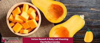 yellow squash baby led weaning the