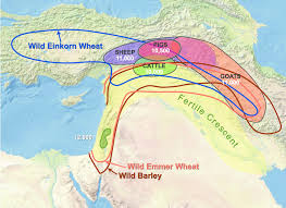 What Is the Fertile Crescent, and What Does It Mean?