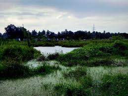 ऊर्जा संरक्षण के नियम rules of energy conservation подробнее. How An Entrepreneur Saved Kerala Wetland Ecosystem From Real Estate Interest