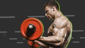 the best bodybuilding programs for all