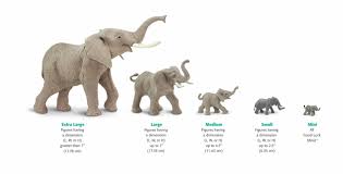 Size Chart Elephants African Elephant Size Chart Clip Art