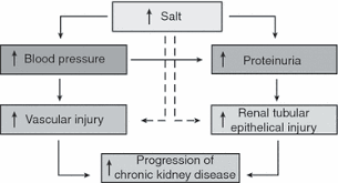 tary sodium in chronic kidney