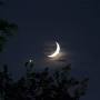 How to catch the moon/Venus conjunction tonight - Cincinnati Enquirer